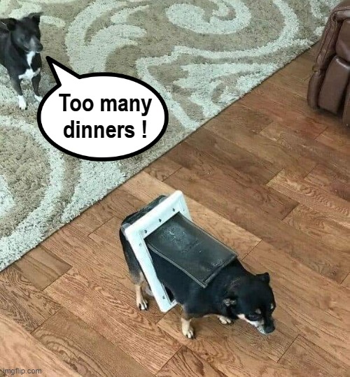 Trapped ! | Too many
dinners ! | image tagged in dog food | made w/ Imgflip meme maker