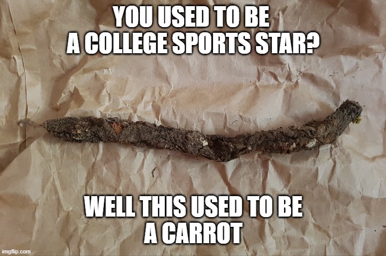 Has-been | YOU USED TO BE 
A COLLEGE SPORTS STAR? WELL THIS USED TO BE
A CARROT | image tagged in has-been | made w/ Imgflip meme maker