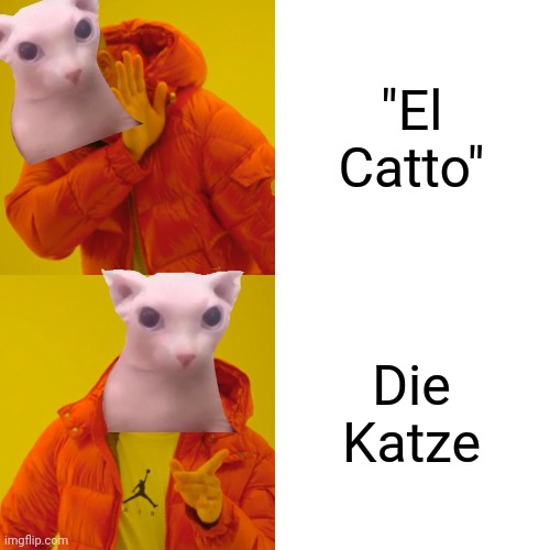 Spanisch? | "El Catto"; Die Katze | image tagged in memes,drake hotline bling | made w/ Imgflip meme maker