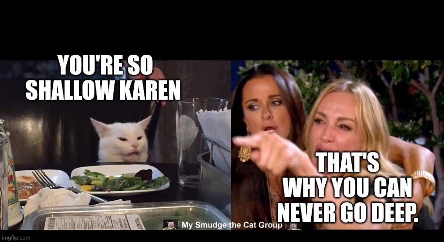 YOU'RE SO SHALLOW KAREN; THAT'S WHY YOU CAN NEVER GO DEEP. | image tagged in smudge the cat,woman yelling at cat | made w/ Imgflip meme maker