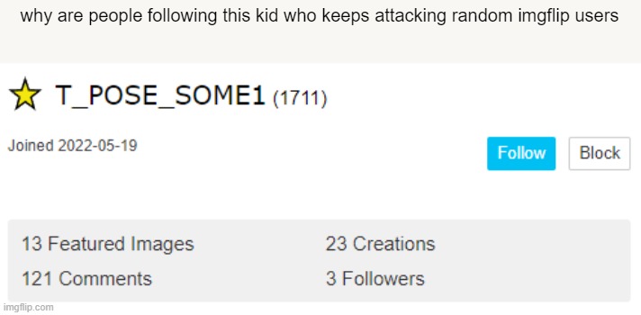 maybe fun stream users who dont have a clue about this idk | why are people following this kid who keeps attacking random imgflip users | image tagged in t_pose_some1 | made w/ Imgflip meme maker