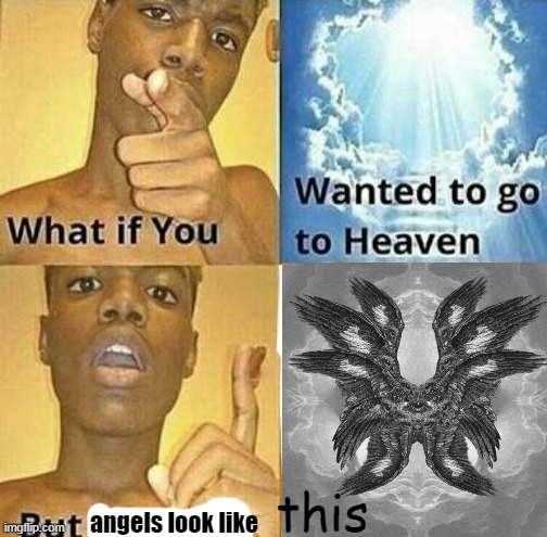 like HELLA GOD WHAT IS THAT | this; angels look like | image tagged in what if you wanted to go to heaven | made w/ Imgflip meme maker