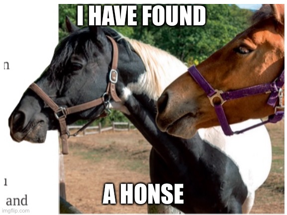 This is unedited btw | I HAVE FOUND; A HONSE | image tagged in horse | made w/ Imgflip meme maker