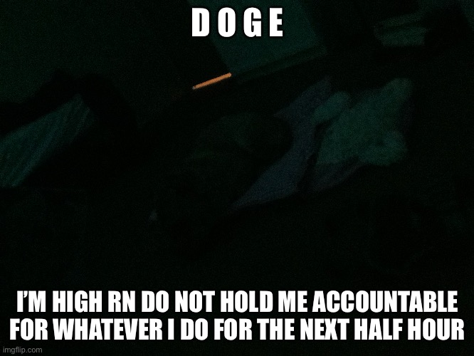 D O G E; I’M HIGH RN DO NOT HOLD ME ACCOUNTABLE FOR WHATEVER I DO FOR THE NEXT HALF HOUR | made w/ Imgflip meme maker