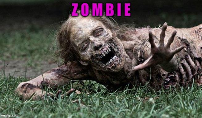Walking Dead Zombie | Z O M B I E | image tagged in walking dead zombie | made w/ Imgflip meme maker