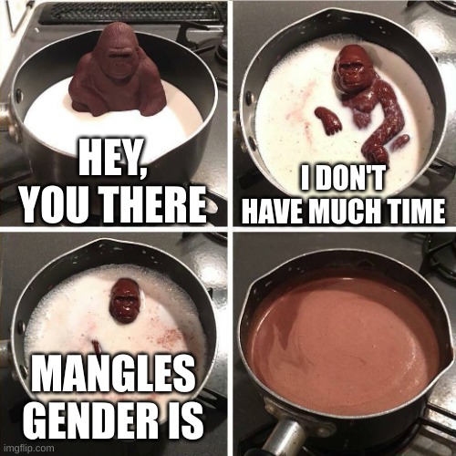 mangles gender is yes | HEY, YOU THERE; I DON'T HAVE MUCH TIME; MANGLES GENDER IS | image tagged in chocolate gorilla,mangle,fnaf | made w/ Imgflip meme maker