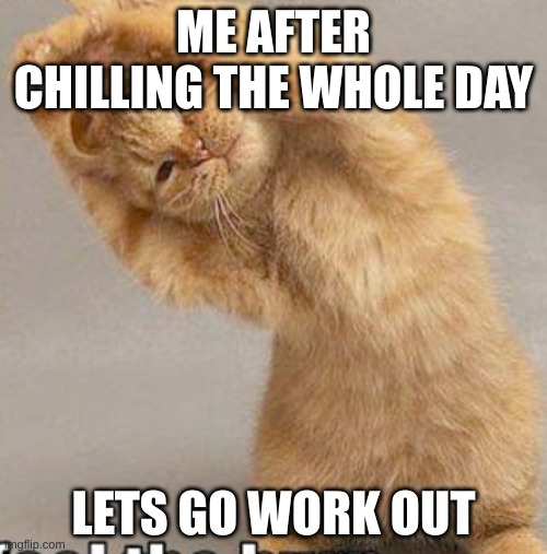 yep that hapened to me | ME AFTER CHILLING THE WHOLE DAY; LETS GO WORK OUT | image tagged in cats | made w/ Imgflip meme maker