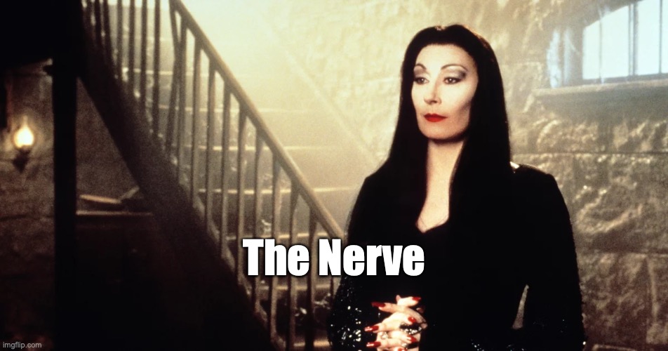 Morticia The Nerve | The Nerve | image tagged in morticia addams,the nerve | made w/ Imgflip meme maker