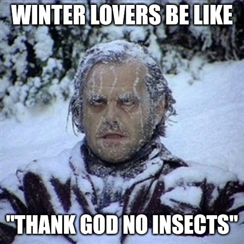 Frozen Guy |  WINTER LOVERS BE LIKE; "THANK GOD NO INSECTS" | image tagged in frozen guy,the shining winter,horror movie,winter,cold | made w/ Imgflip meme maker