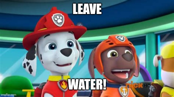 Excited Marshall and Zuma. | LEAVE; WATER! | image tagged in excited marshall and zuma | made w/ Imgflip meme maker