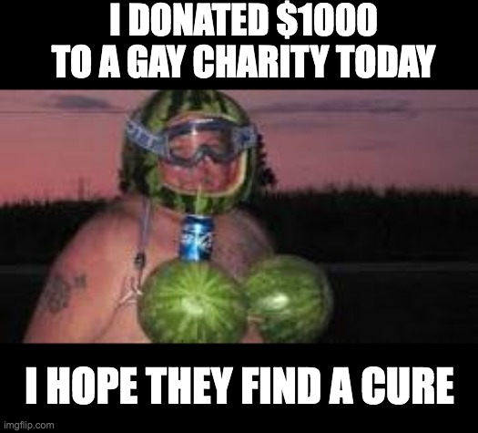 It was worth it | I DONATED $1000 TO A GAY CHARITY TODAY; I HOPE THEY FIND A CURE | image tagged in watermelon man,memes,funny,offensive,gay jokes | made w/ Imgflip meme maker