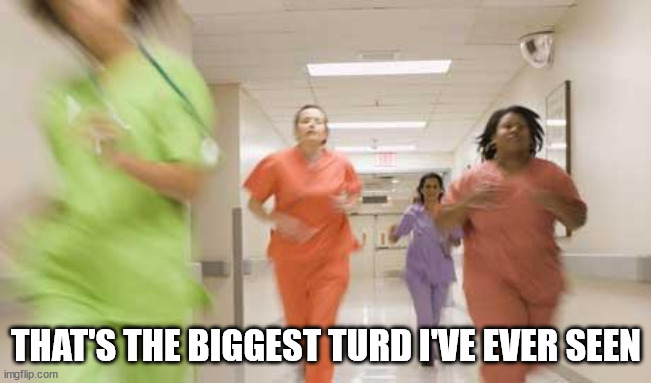 Nurses running | THAT'S THE BIGGEST TURD I'VE EVER SEEN | image tagged in nurses running | made w/ Imgflip meme maker