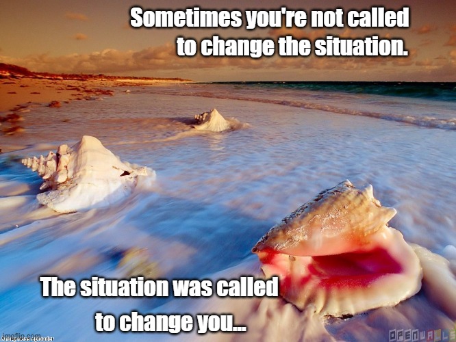 Ocean shells let go | Sometimes you're not called; to change the situation. to change you... The situation was called | image tagged in ocean shells let go | made w/ Imgflip meme maker