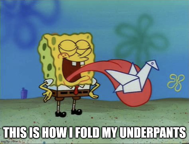 Spongebob Paper Origami | THIS IS HOW I FOLD MY UNDERPANTS | image tagged in spongebob paper origami | made w/ Imgflip meme maker