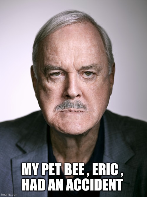 John Cleese | MY PET BEE , ERIC , 
HAD AN ACCIDENT | image tagged in john cleese | made w/ Imgflip meme maker