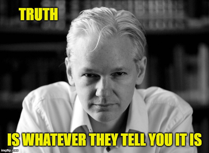 Julian Assange | TRUTH IS WHATEVER THEY TELL YOU IT IS | image tagged in julian assange | made w/ Imgflip meme maker