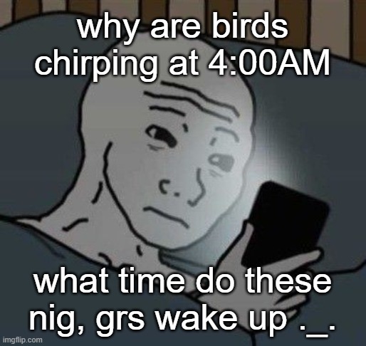 Two birds away from killing m | why are birds chirping at 4:00AM; what time do these nig, grs wake up ._. | image tagged in why | made w/ Imgflip meme maker