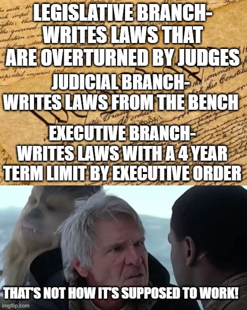 LEGISLATIVE BRANCH- WRITES LAWS THAT ARE OVERTURNED BY JUDGES; JUDICIAL BRANCH- WRITES LAWS FROM THE BENCH; EXECUTIVE BRANCH- WRITES LAWS WITH A 4 YEAR TERM LIMIT BY EXECUTIVE ORDER; THAT'S NOT HOW IT'S SUPPOSED TO WORK! | image tagged in constitution,that's not how the force works | made w/ Imgflip meme maker