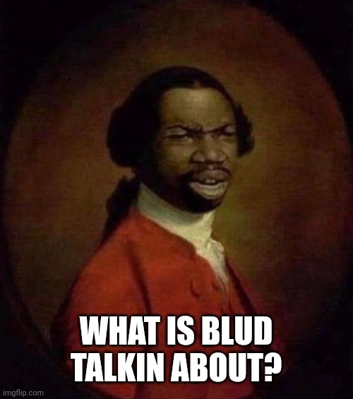 What the hell | WHAT IS BLUD TALKIN ABOUT? | image tagged in what the hell | made w/ Imgflip meme maker