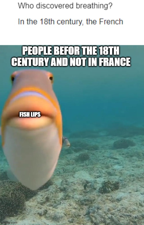 what is breathing never heard of it | PEOPLE BEFOR THE 18TH CENTURY AND NOT IN FRANCE; FISH LIPS | image tagged in staring fish,funny | made w/ Imgflip meme maker