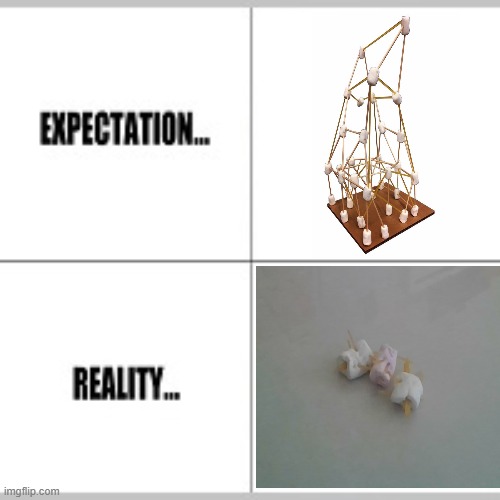 I ran out of of marshmallows | image tagged in expectation vs reality,marshmallow and spaghetti,marshmallow | made w/ Imgflip meme maker