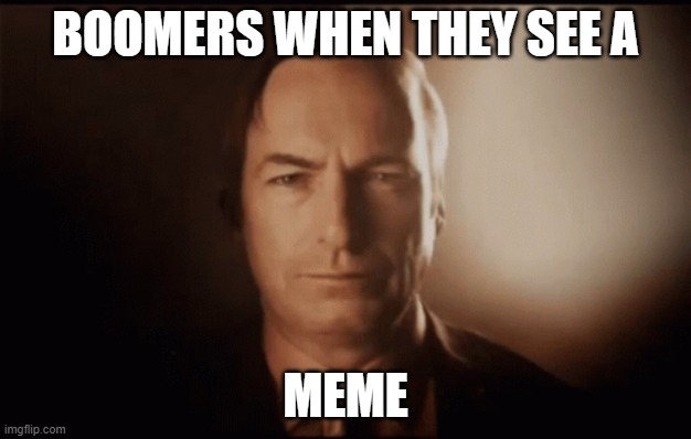 BOOMERS WHEN THEY SEE A MEME | BOOMERS WHEN THEY SEE A; MEME | image tagged in funny,memes,saul goodman | made w/ Imgflip meme maker