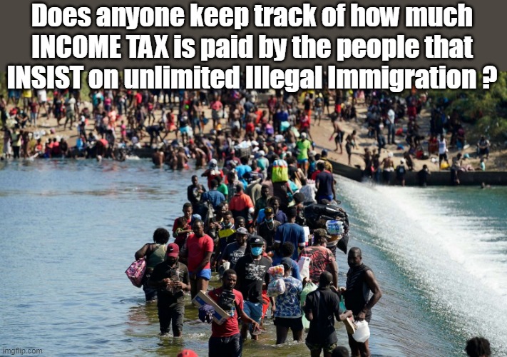 Or even Charitable donations for that matter | Does anyone keep track of how much INCOME TAX is paid by the people that INSIST on unlimited Illegal Immigration ? | image tagged in memes,illegal immigration,income taxes | made w/ Imgflip meme maker
