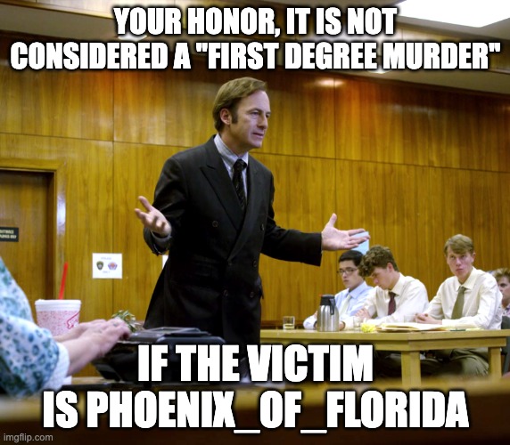 Your Honor | YOUR HONOR, IT IS NOT CONSIDERED A ''FIRST DEGREE MURDER''; IF THE VICTIM IS PHOENIX_OF_FLORIDA | image tagged in your honor | made w/ Imgflip meme maker