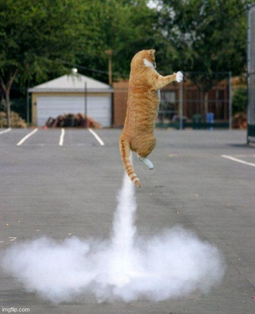 Rocket cat | image tagged in rocket cat | made w/ Imgflip meme maker