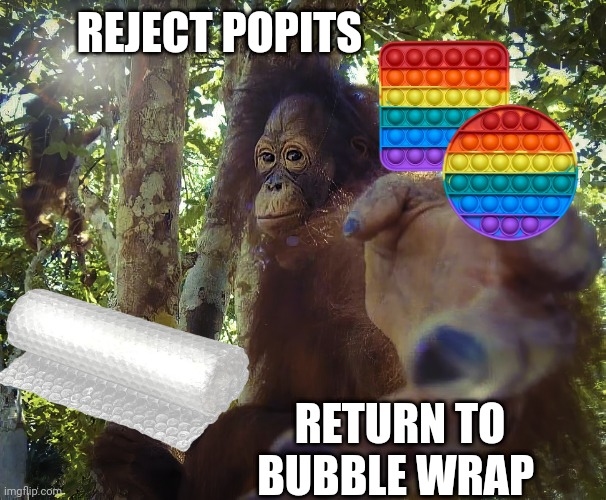 Bubble wrap > popits | REJECT POPITS; RETURN TO BUBBLE WRAP | image tagged in return to monke clean version | made w/ Imgflip meme maker
