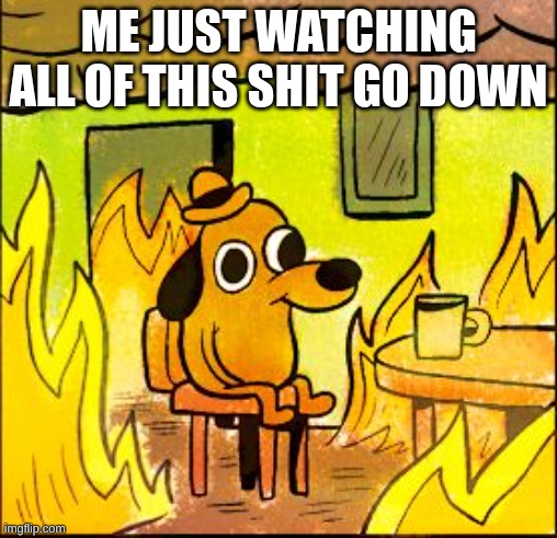This is fine | ME JUST WATCHING ALL OF THIS SHIT GO DOWN | image tagged in this is fine | made w/ Imgflip meme maker