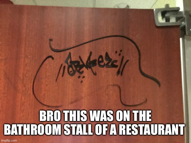 Sorta looks like Arabic, could be Urdu | BRO THIS WAS ON THE BATHROOM STALL OF A RESTAURANT | image tagged in bathroom,bathroom stall,writing | made w/ Imgflip meme maker