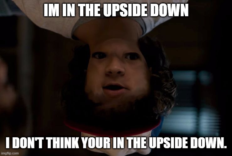 Stanger tings | IM IN THE UPSIDE DOWN; I DON'T THINK YOUR IN THE UPSIDE DOWN. | image tagged in stranger stranger things | made w/ Imgflip meme maker