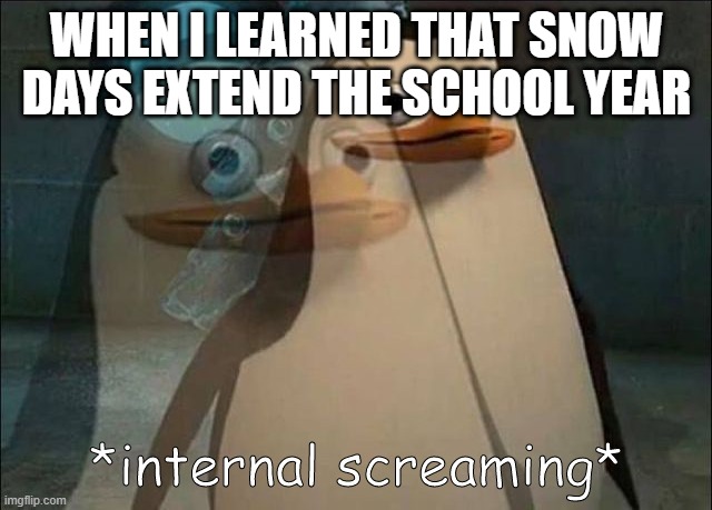 Private Internal Screaming | WHEN I LEARNED THAT SNOW DAYS EXTEND THE SCHOOL YEAR | image tagged in private internal screaming | made w/ Imgflip meme maker