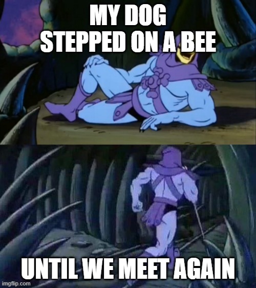 my dog stepped on a bee | MY DOG STEPPED ON A BEE; UNTIL WE MEET AGAIN | image tagged in skeletor disturbing facts | made w/ Imgflip meme maker