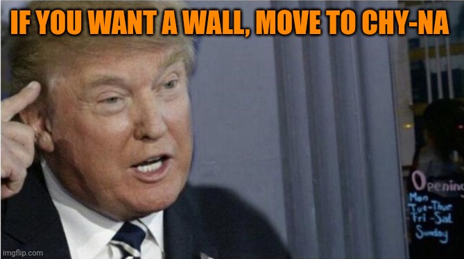 No mexicans in Chy-Na | IF YOU WANT A WALL, MOVE TO CHY-NA | image tagged in roll safe trump edition | made w/ Imgflip meme maker