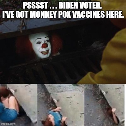 A 'for sure' guarantee for cleaning out the political gene pool. | PSSSST . . . BIDEN VOTER,  I'VE GOT MONKEY POX VACCINES HERE. | image tagged in pennywise in sewer | made w/ Imgflip meme maker