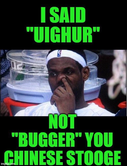 god save us from the social wrriors | I SAID "UIGHUR"; NOT "BUGGER" YOU CHINESE STOOGE | image tagged in nba | made w/ Imgflip meme maker