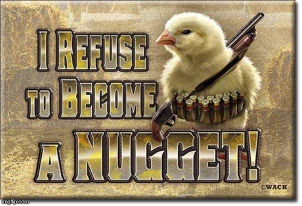 This is not fake. Go on amazon and look up i refuse to be a nugget sign | image tagged in loads shotgun with malicious intent,chicken | made w/ Imgflip meme maker