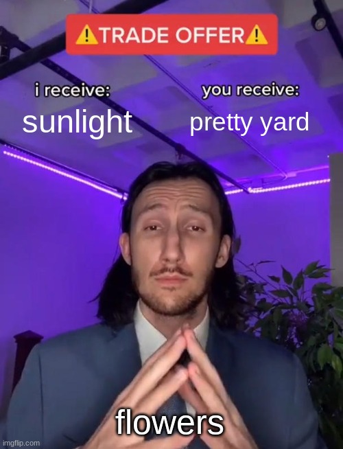 Trade Offer | sunlight; pretty yard; flowers | image tagged in trade offer | made w/ Imgflip meme maker