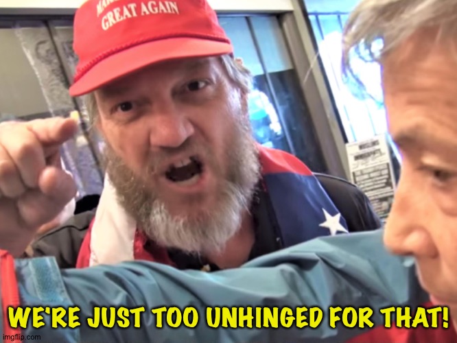 Angry Trump Supporter | WE'RE JUST TOO UNHINGED FOR THAT! | image tagged in angry trump supporter | made w/ Imgflip meme maker