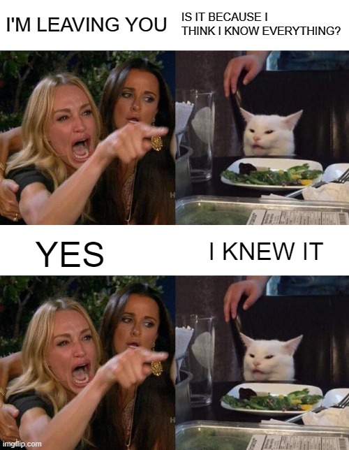 WOMAN YELLING AT CAT |  I'M LEAVING YOU; IS IT BECAUSE I THINK I KNOW EVERYTHING? I KNEW IT; YES | image tagged in memes,woman yelling at cat,know everything | made w/ Imgflip meme maker