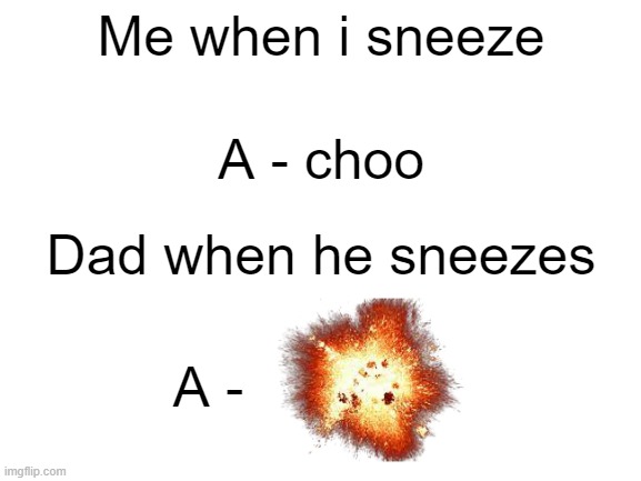 Blank White Template | Me when i sneeze; A - choo; Dad when he sneezes; A - | image tagged in blank white template,funny,funny meme | made w/ Imgflip meme maker