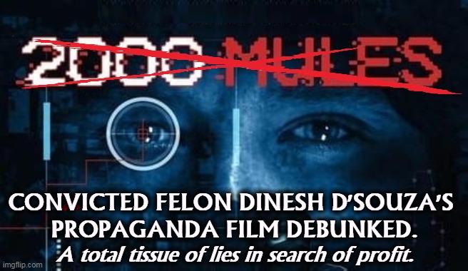 CONVICTED FELON DINESH D'SOUZA'S 
PROPAGANDA FILM DEBUNKED. A total tissue of lies in search of profit. | image tagged in trump,big,lie,lies,liars | made w/ Imgflip meme maker