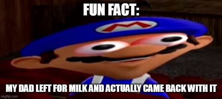 smg4 stare | FUN FACT:; MY DAD LEFT FOR MILK AND ACTUALLY CAME BACK WITH IT | image tagged in smg4 stare | made w/ Imgflip meme maker