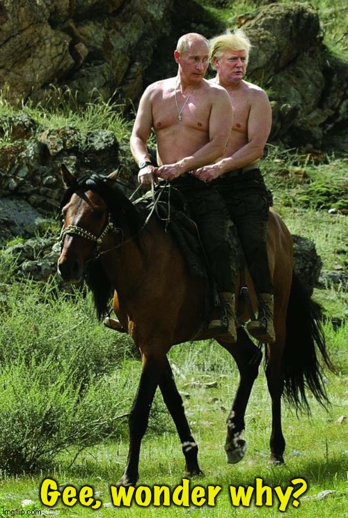 Donald Trump Vladamir Putin | Gee, wonder why? | image tagged in donald trump vladamir putin | made w/ Imgflip meme maker