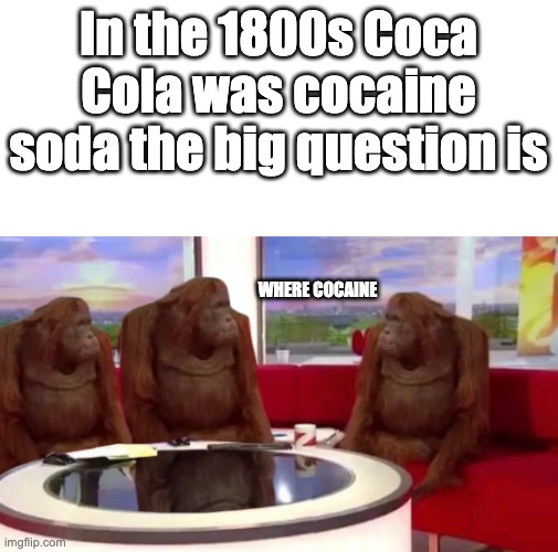 Big question | In the 1800s Coca Cola was cocaine soda the big question is; WHERE COCAINE | image tagged in where monkey | made w/ Imgflip meme maker