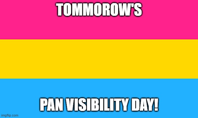 finnaly :) (owner note: wooo!) | TOMMOROW'S; PAN VISIBILITY DAY! | image tagged in pan flag | made w/ Imgflip meme maker