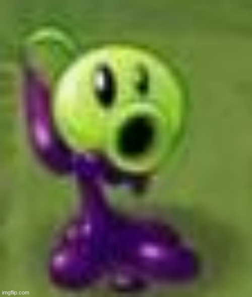 caption this | made w/ Imgflip meme maker