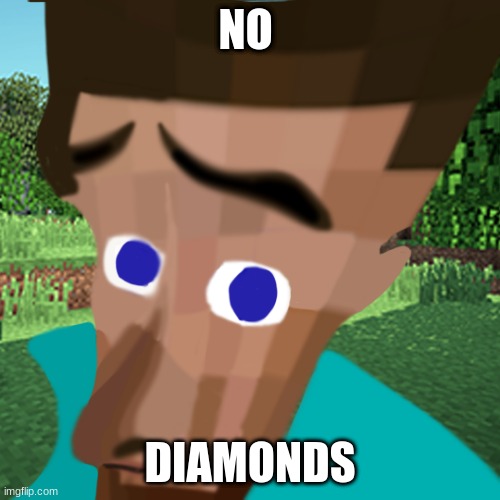 NO BITCHES | NO; DIAMONDS | image tagged in no bitches | made w/ Imgflip meme maker